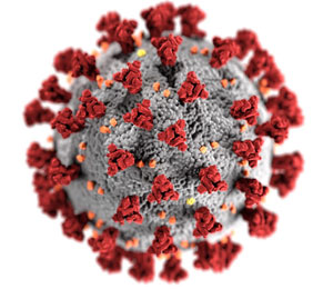 coronavirus SARS-CoV-2